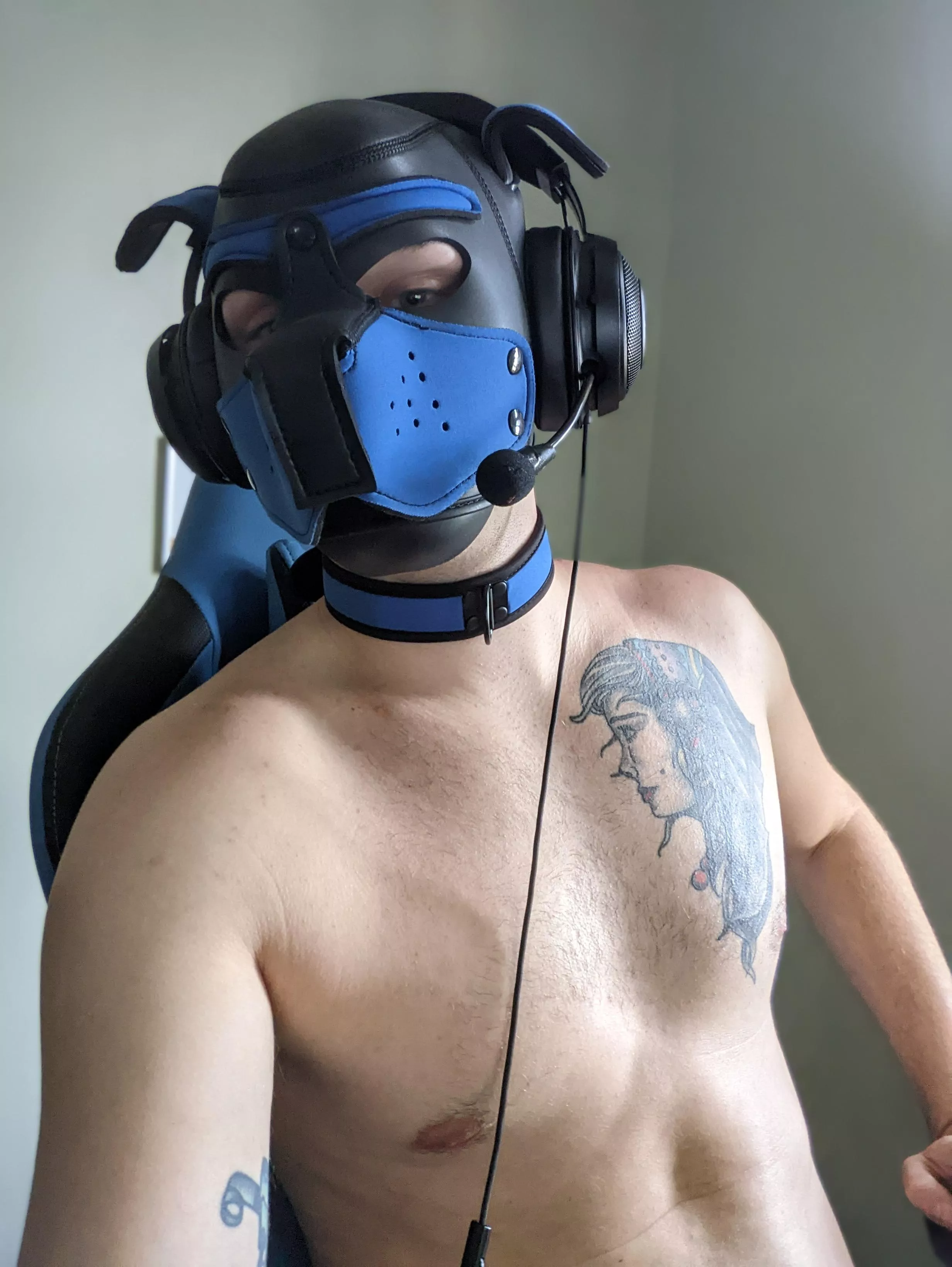 Pup Arrow being a good Uni pup.