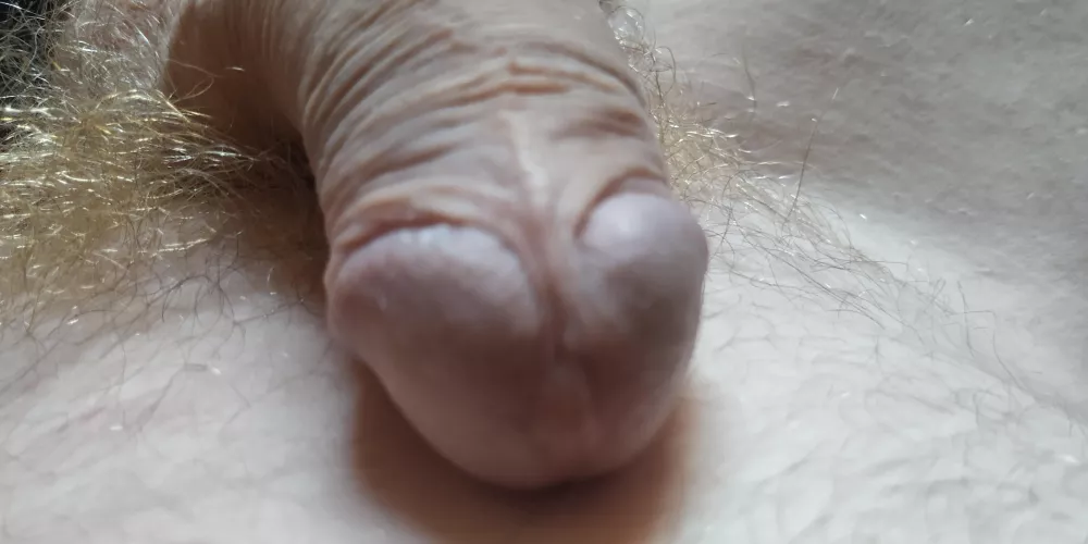 This is what an uncut cock looks like.