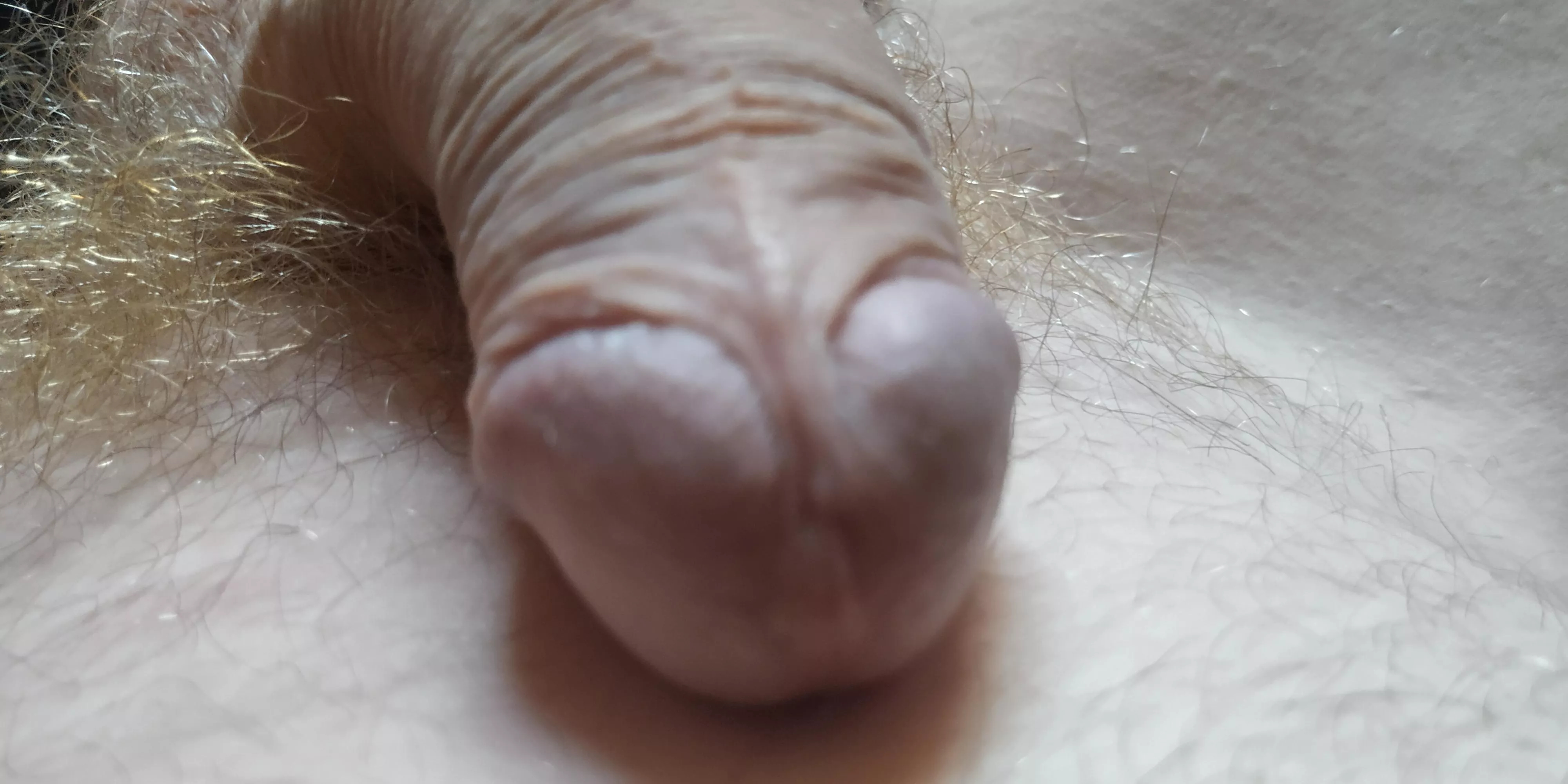 This is what an uncut cock looks like.