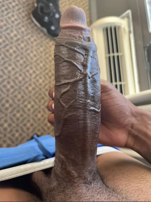 Who can take this bbc