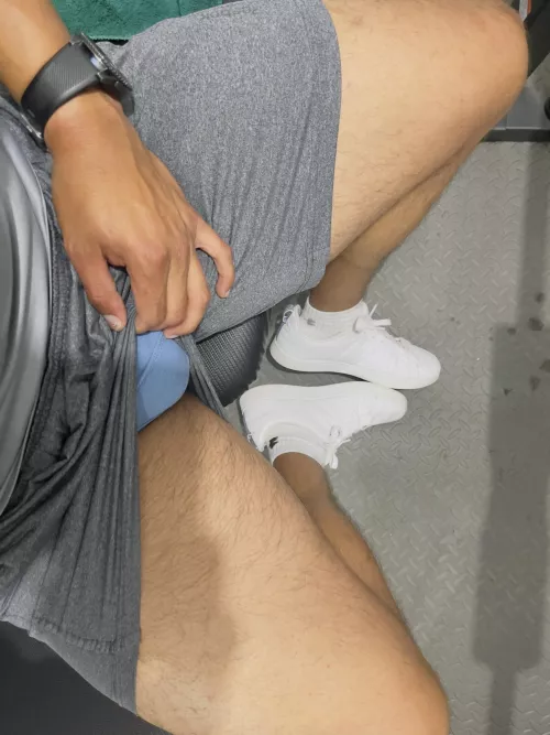 28 at gym brief Sc:lalberto223909