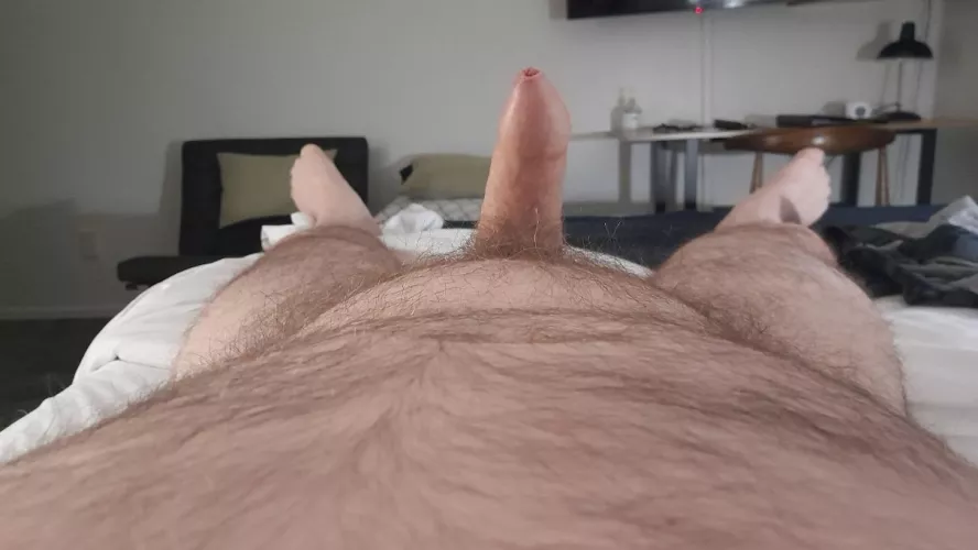 (41) anyone need a plaything?