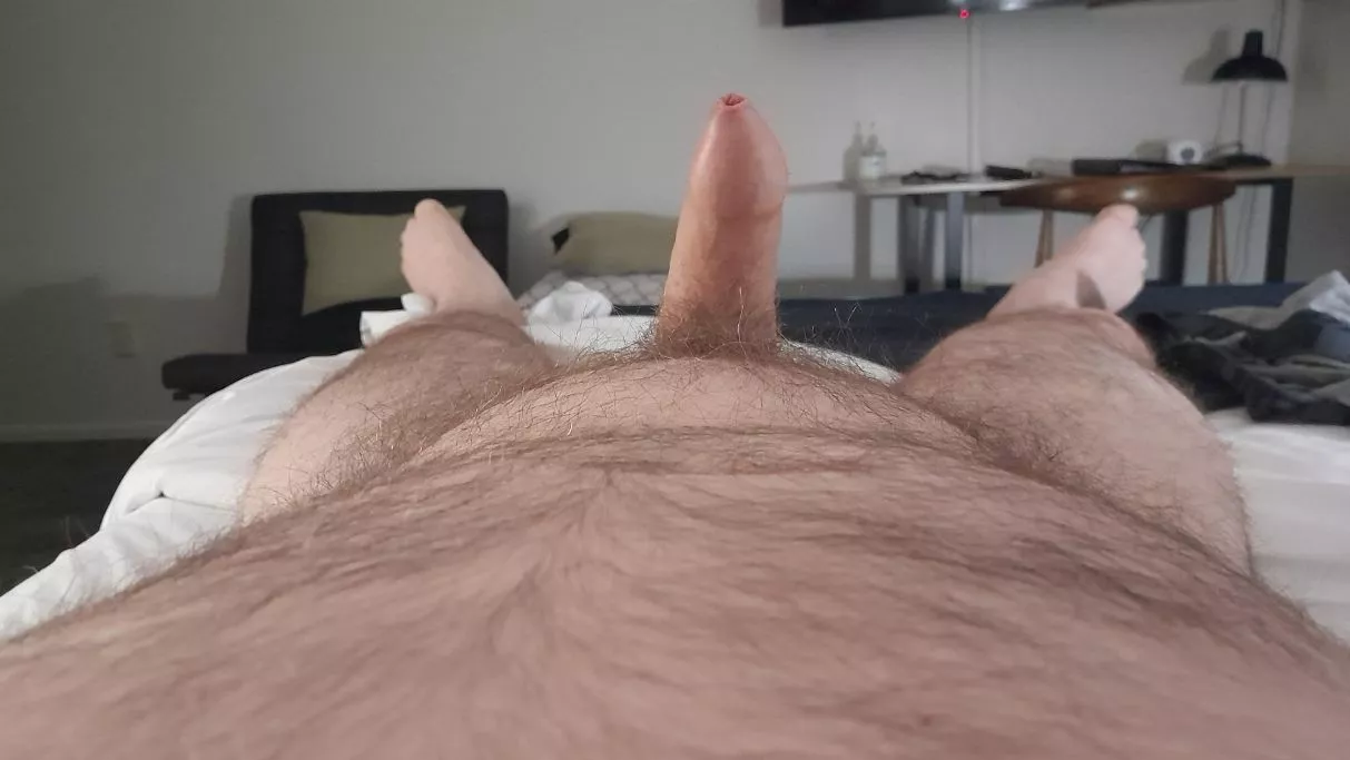 (41) anyone need a plaything?