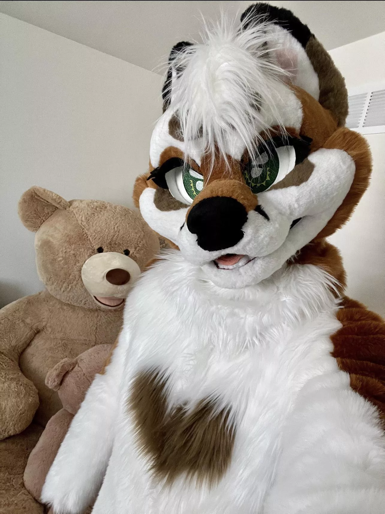 Anyone else love stuffies, especially large ones?