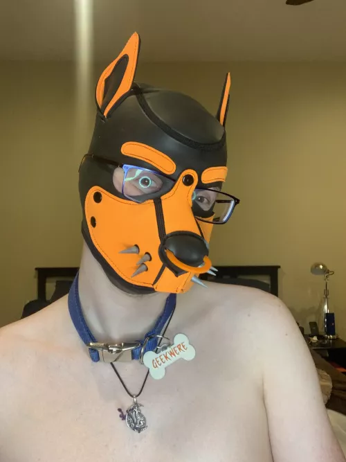 Awoo! New hood! 🐶