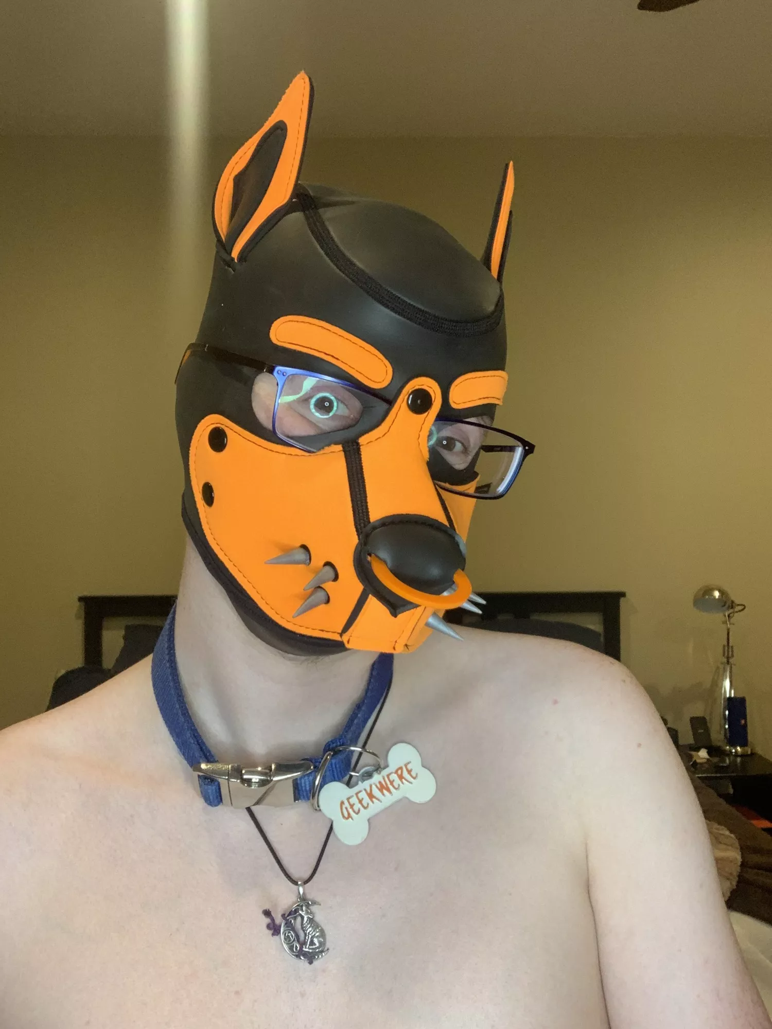 Awoo! New hood! 🐶