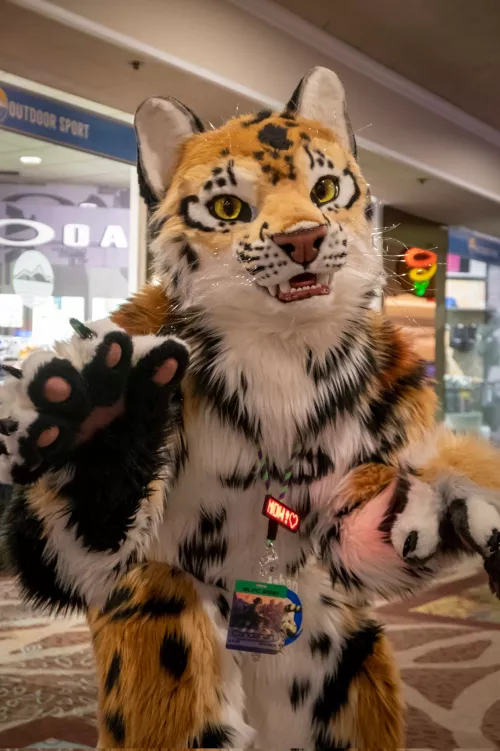 =^._.^=∫ by @CatCandahan on Twitter