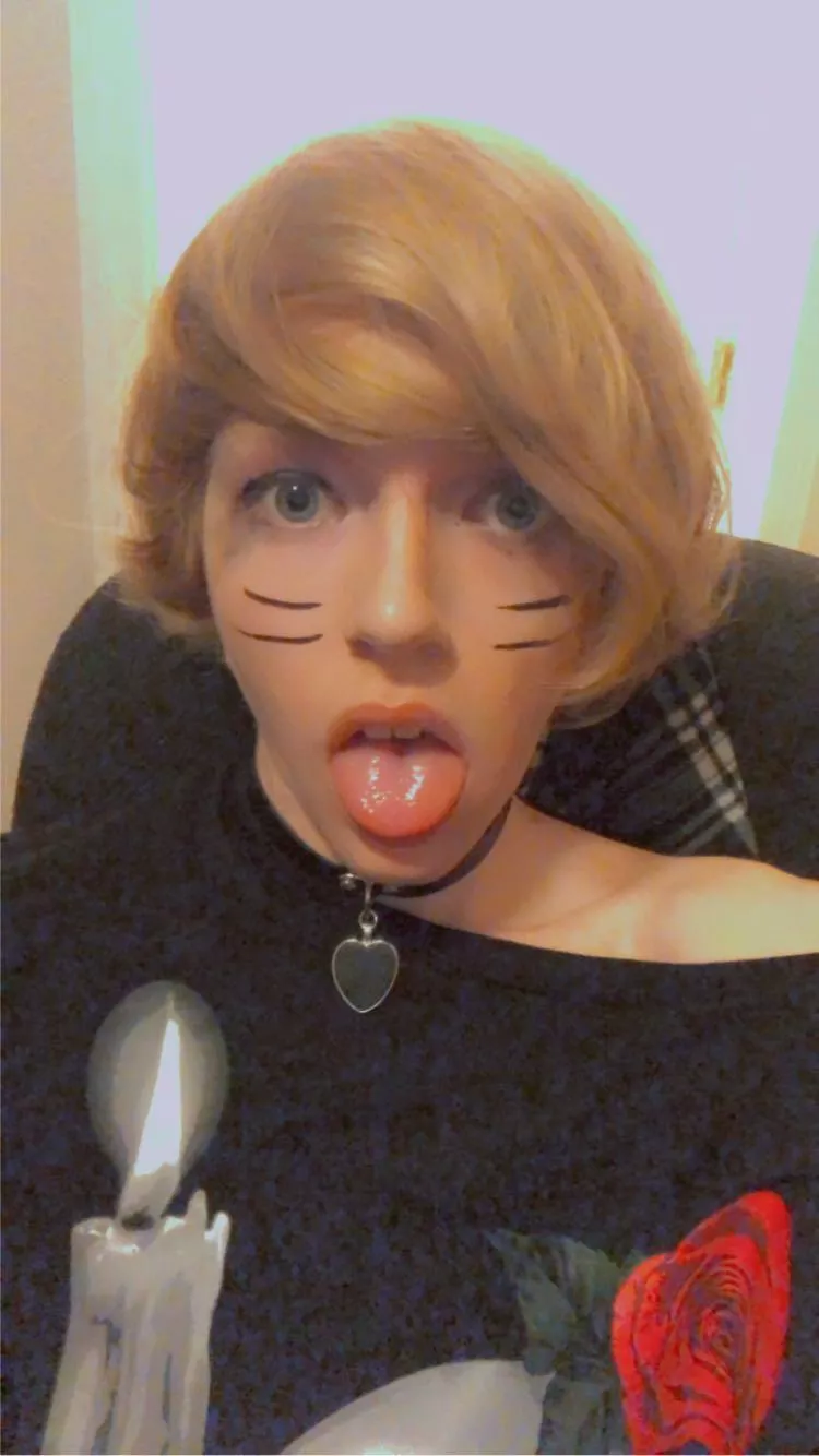 Catboi Tuesday Catboi Tuesday UwU