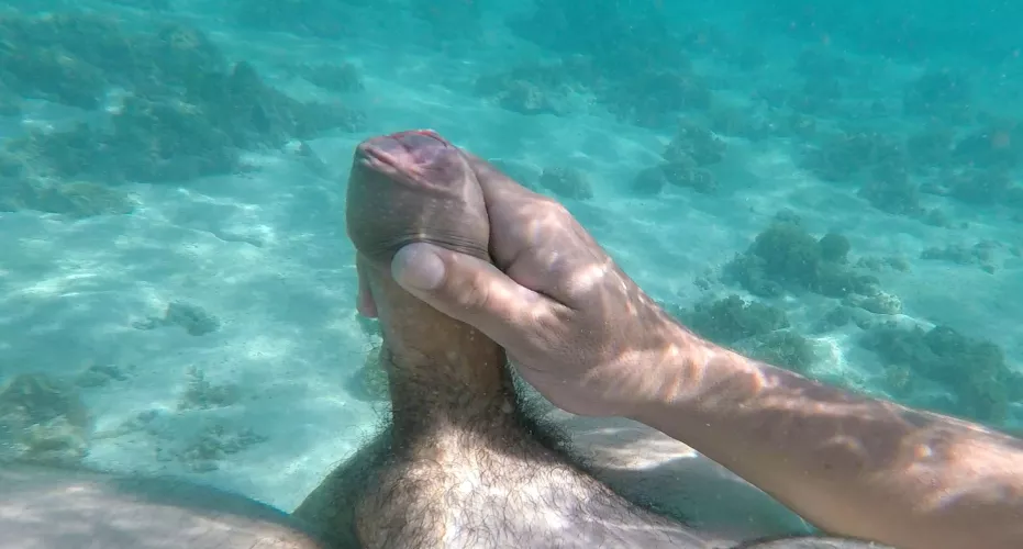 feeding the fishies 🤤