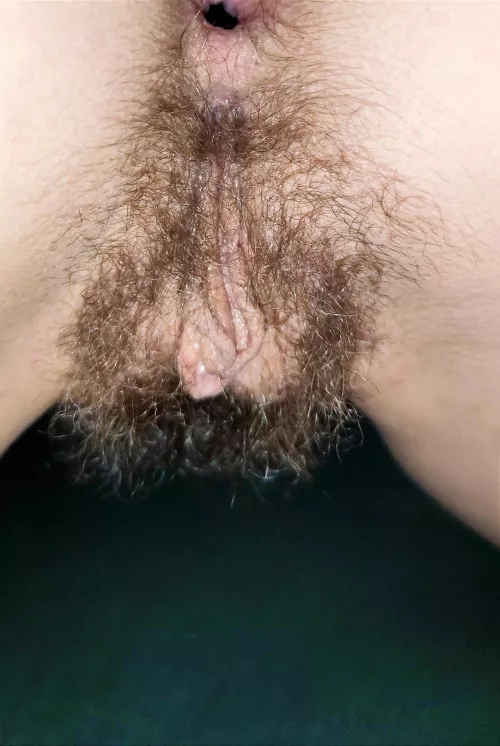 hairy holes going wild 🔥🔥🔥 only OC 🥰