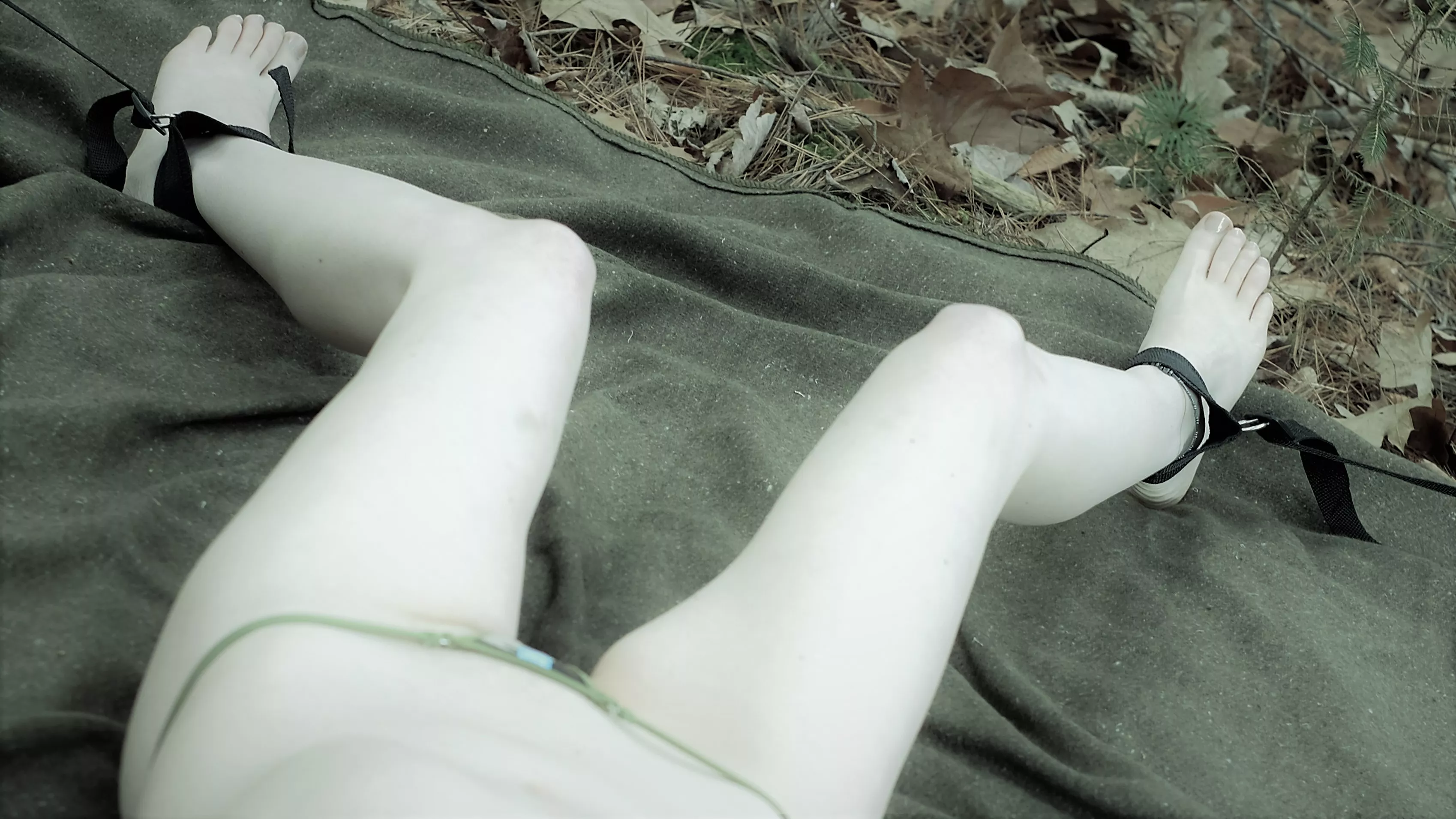 I'm 'bound' to please you now!