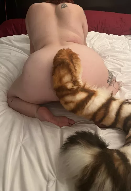 Is my new tail a big too big? “Self”