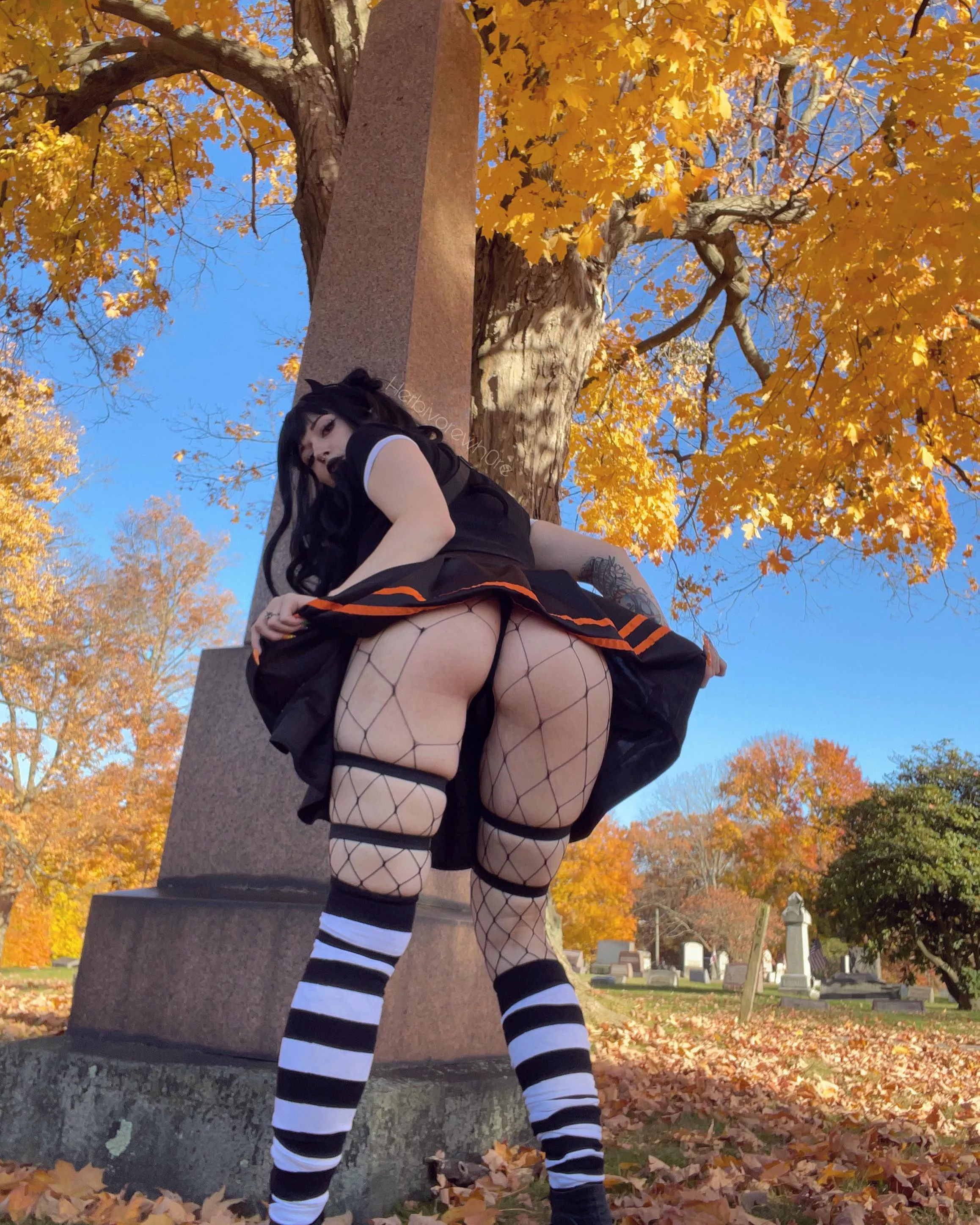 It was the wind I swear