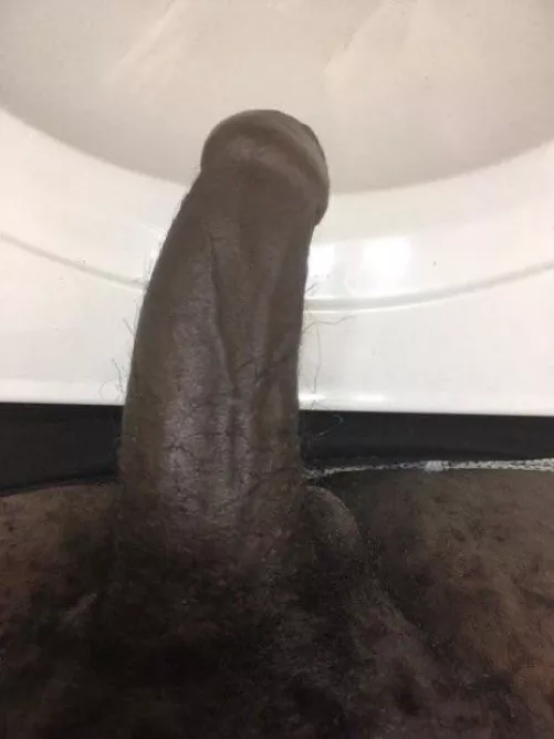 Ladies y’all wanna play with me.