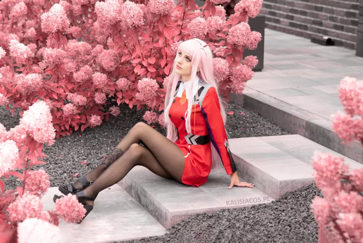 legs in black pantyhose (kalisiacos)