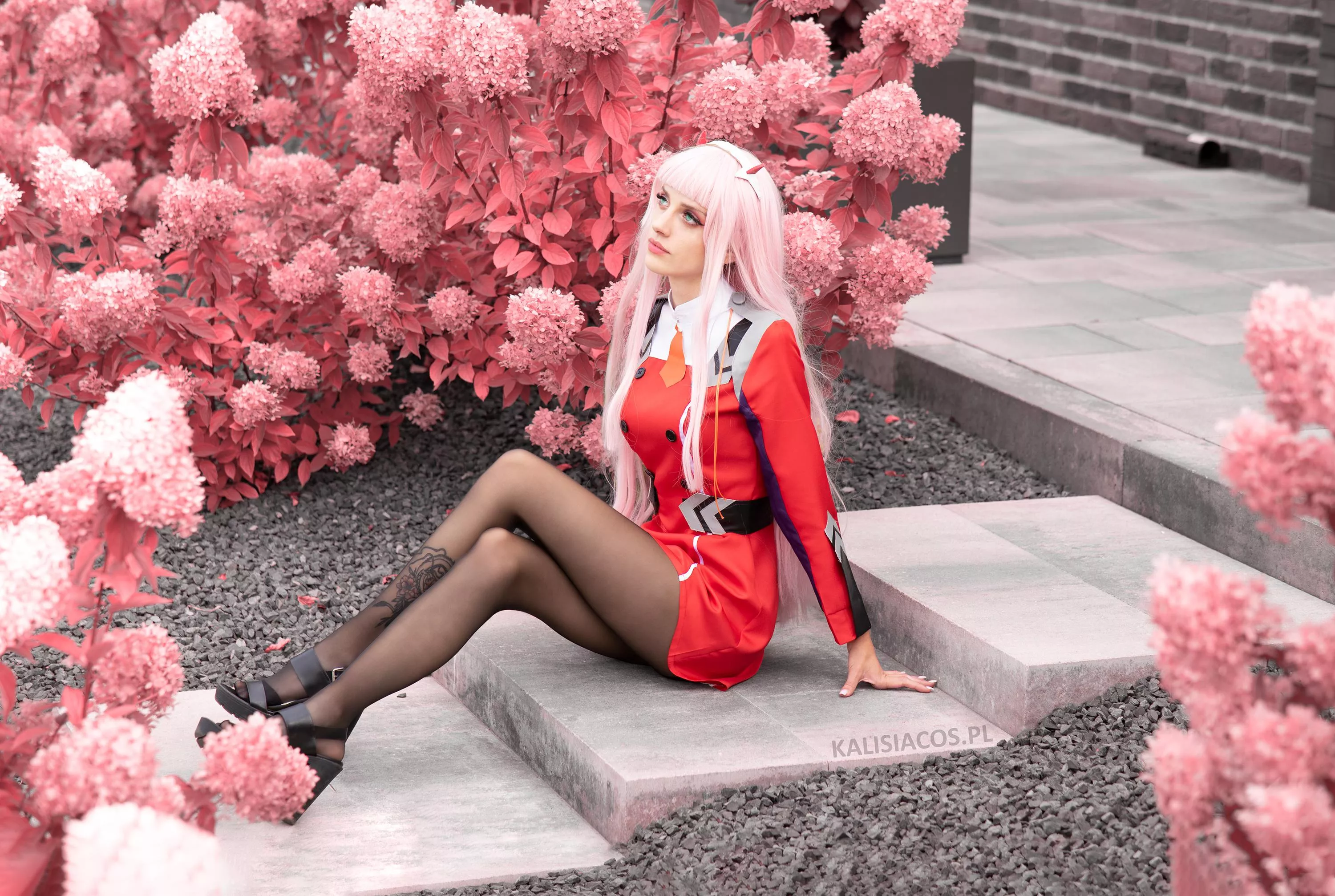 legs in black pantyhose (kalisiacos)