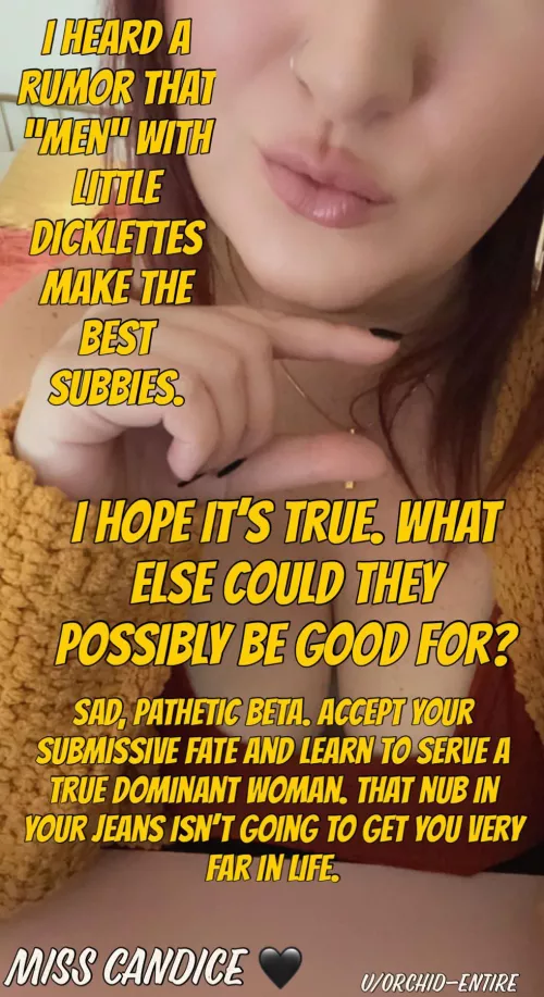 Listen closely and repeat after me…you are made to serve Superior Women.