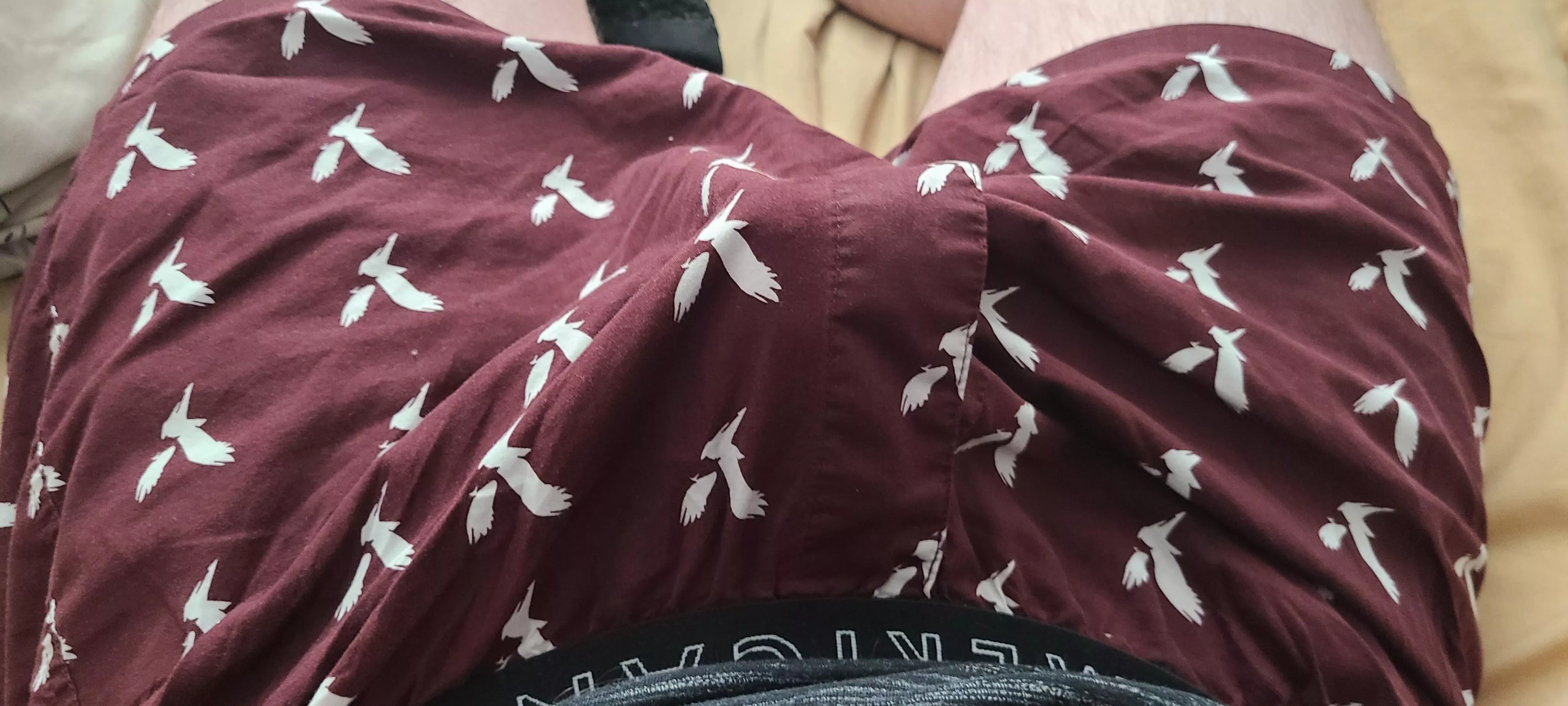 Loving my new AE Boxers.