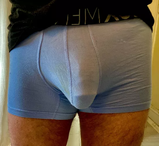 Outlined in blue….