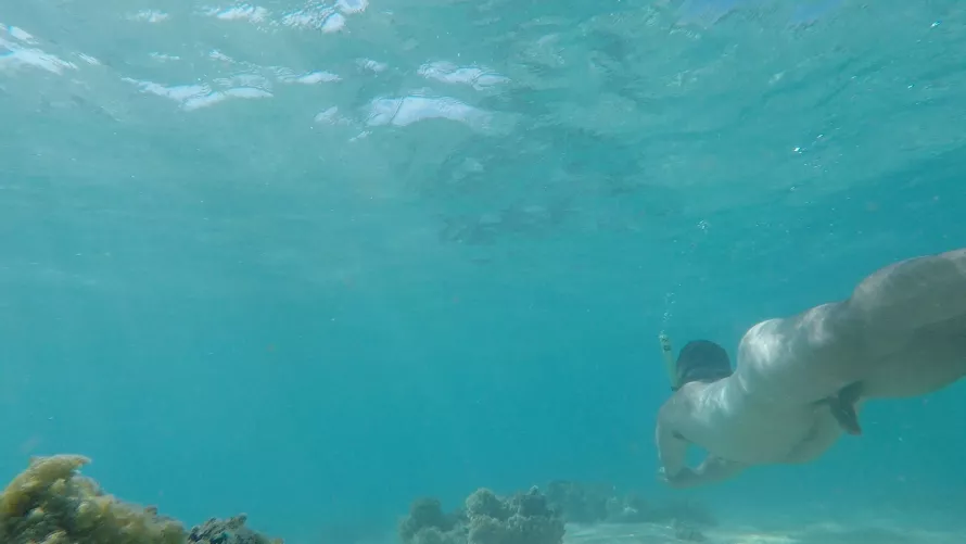 Snorkelling out in the open 😆