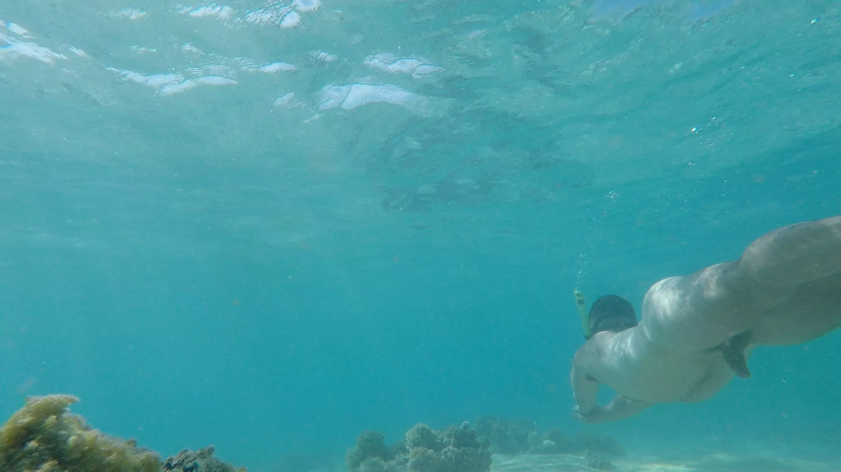 Snorkelling out in the open 😆