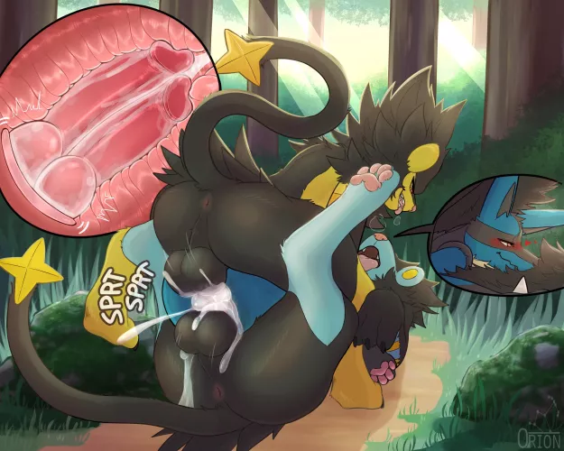 Stuffed as hell lucky lucario [M] (orionsmaniac)
