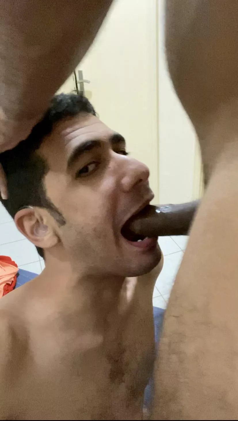 Sucking a cock while looking like a stupid monkey