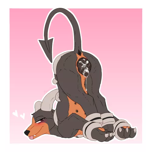Taming a wild Houndoom [F] (Barndog)