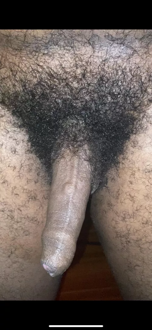 thick bush after a long day