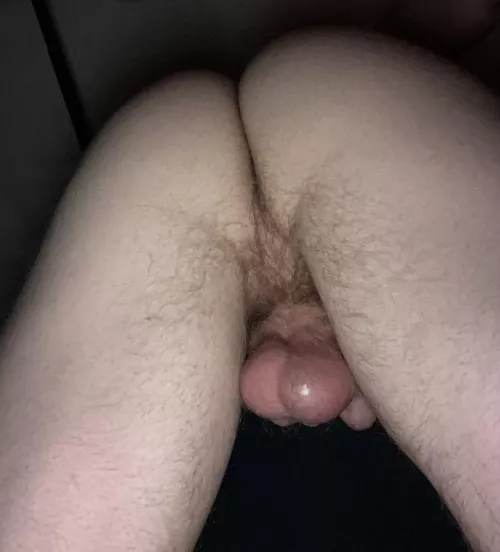 This booty and balls are up bright and early for your viewing pleasure. DMs always open…