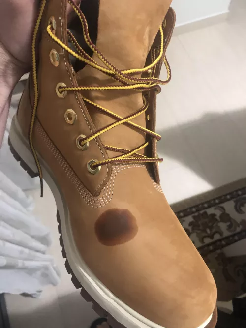 Timberlands stain