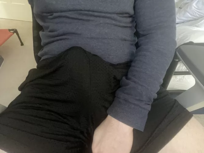 Very bricked up today