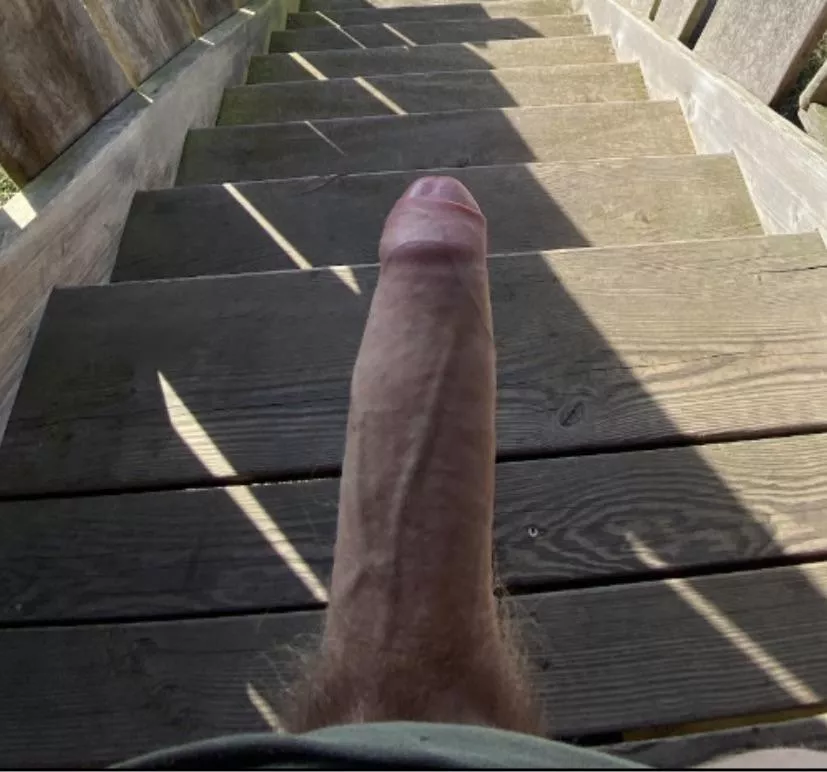 What do you think about my 22cm?