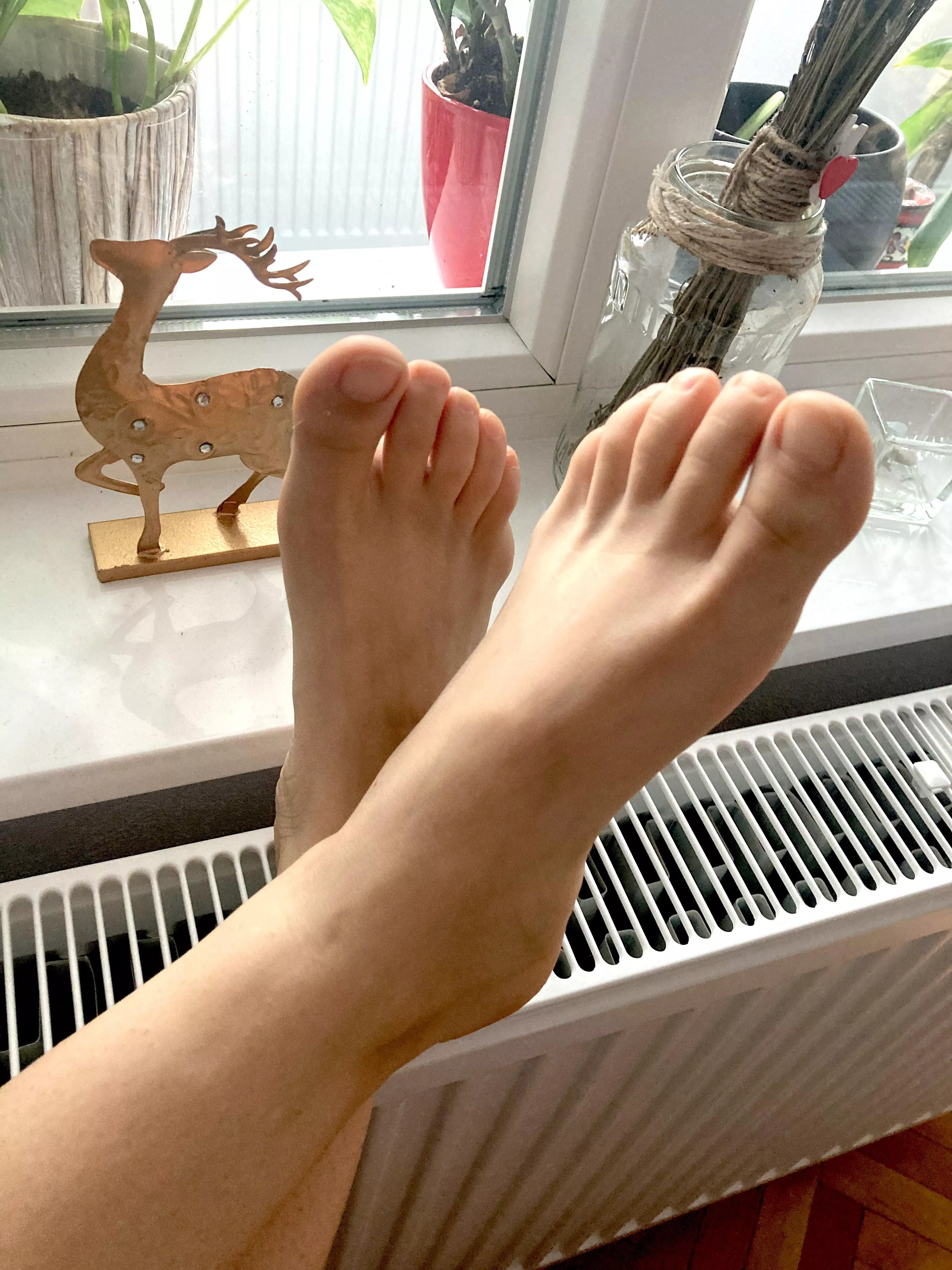 What’s on your list for Christmas this year? My feet?