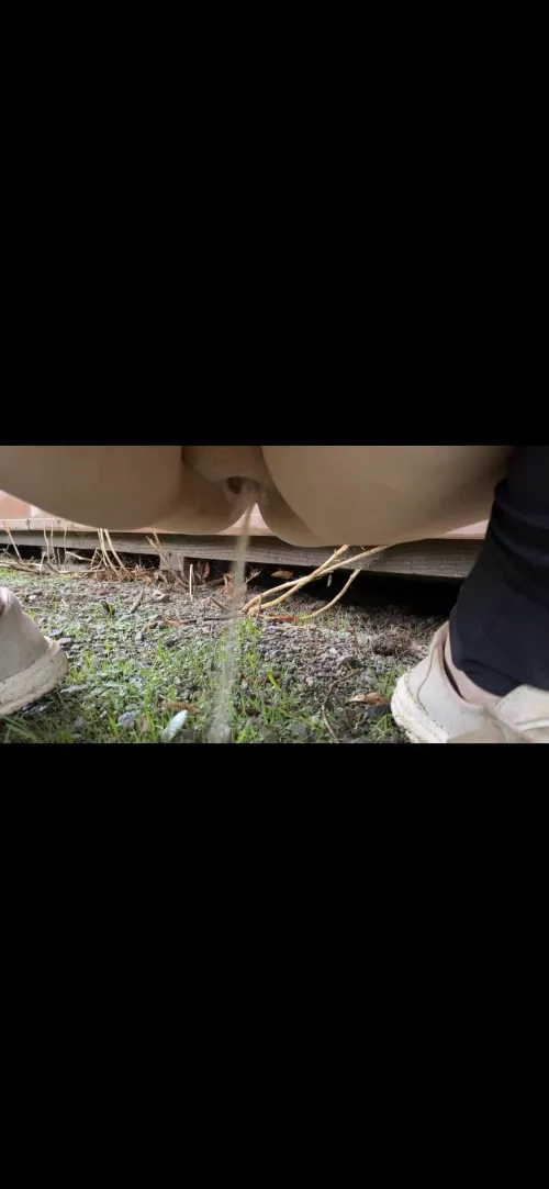 Wished someone let a BBW pee on them