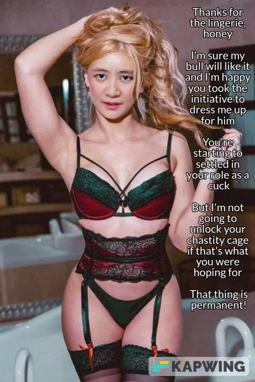 You bought your wife lingerie for her to use for her bull in hopes she'd unlock your chastity cage but it didn't work 😓
