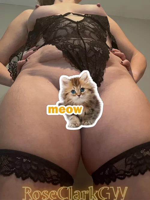 1985 mom of 2 ▫️ Want to see my cat?