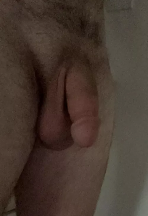 Anyone wanna compare?