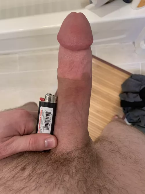 Bic dick