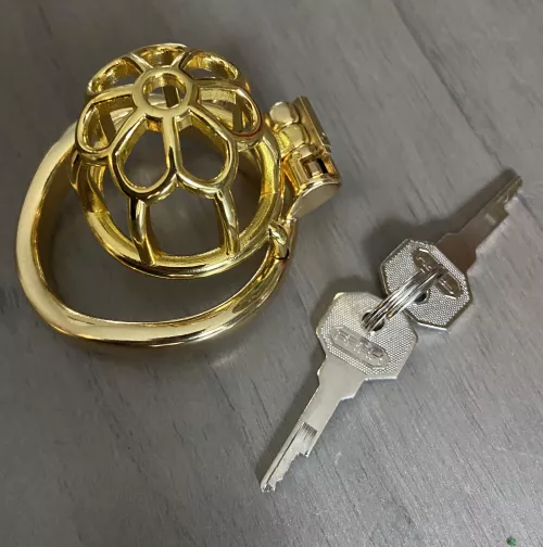 Bought a pretty cock cage for my collection!