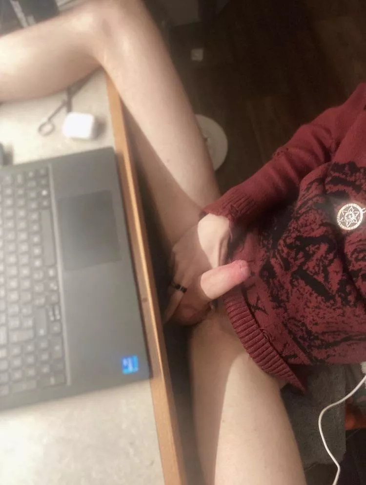 Can you help me study please?