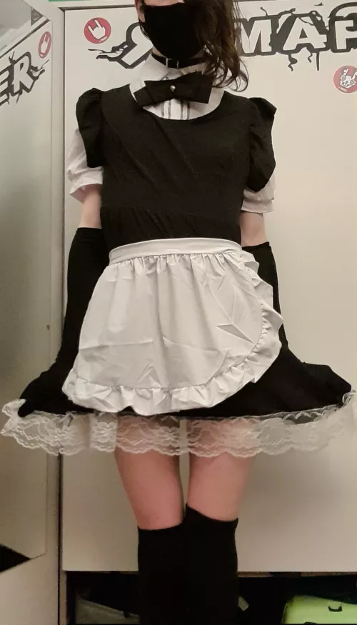 Catboi maid at service