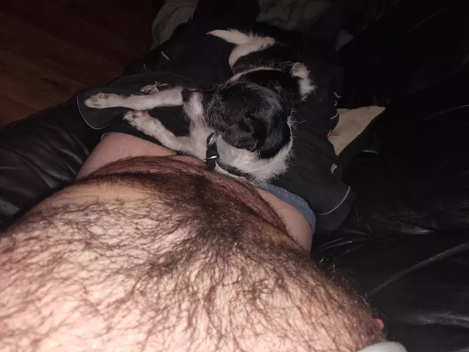 comfy hairy chest maybe?