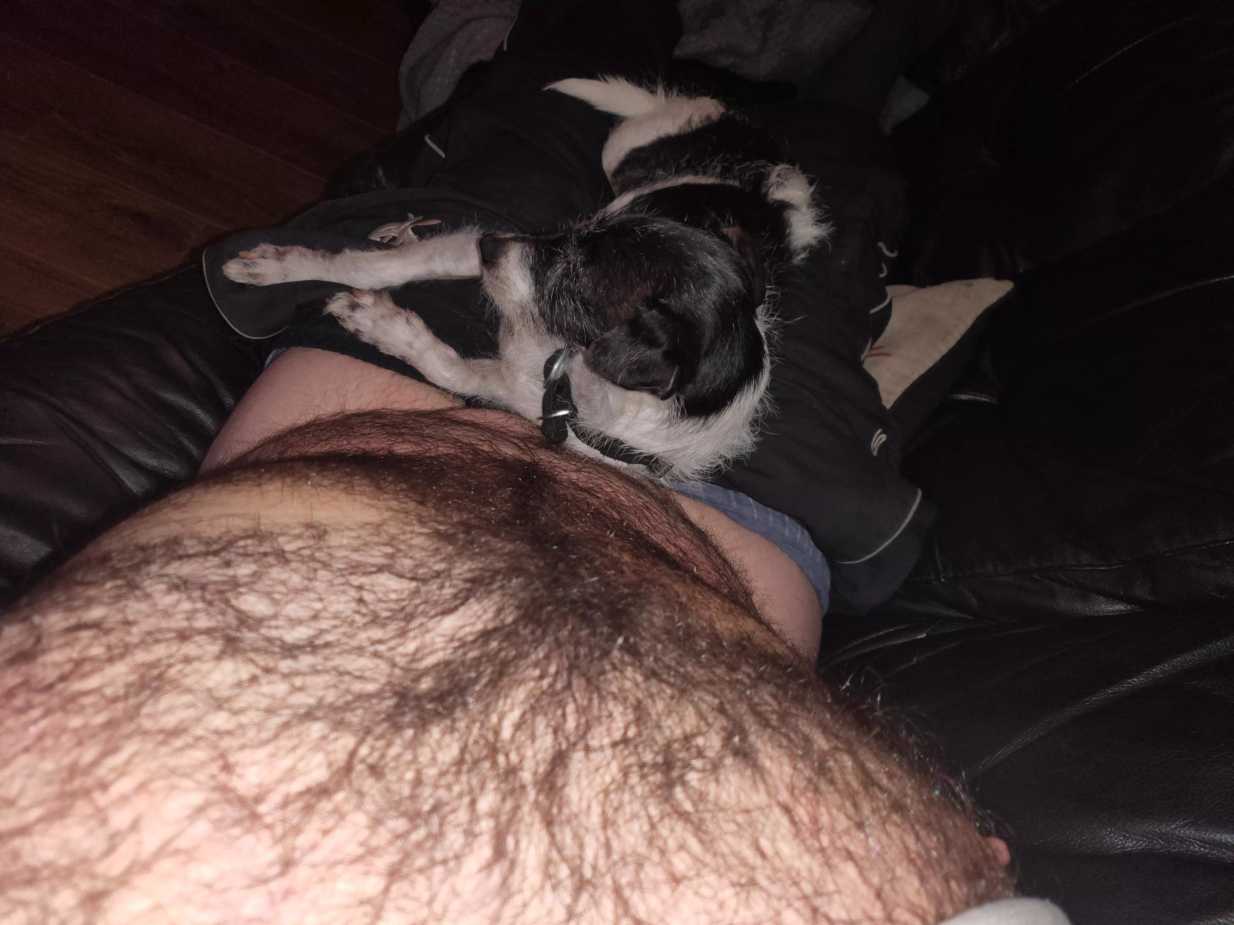 comfy hairy chest maybe?