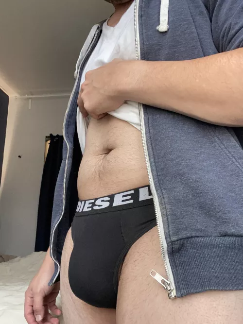 Diesel briefs today