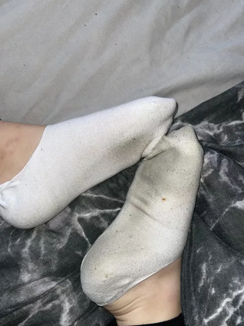 filthy old socks