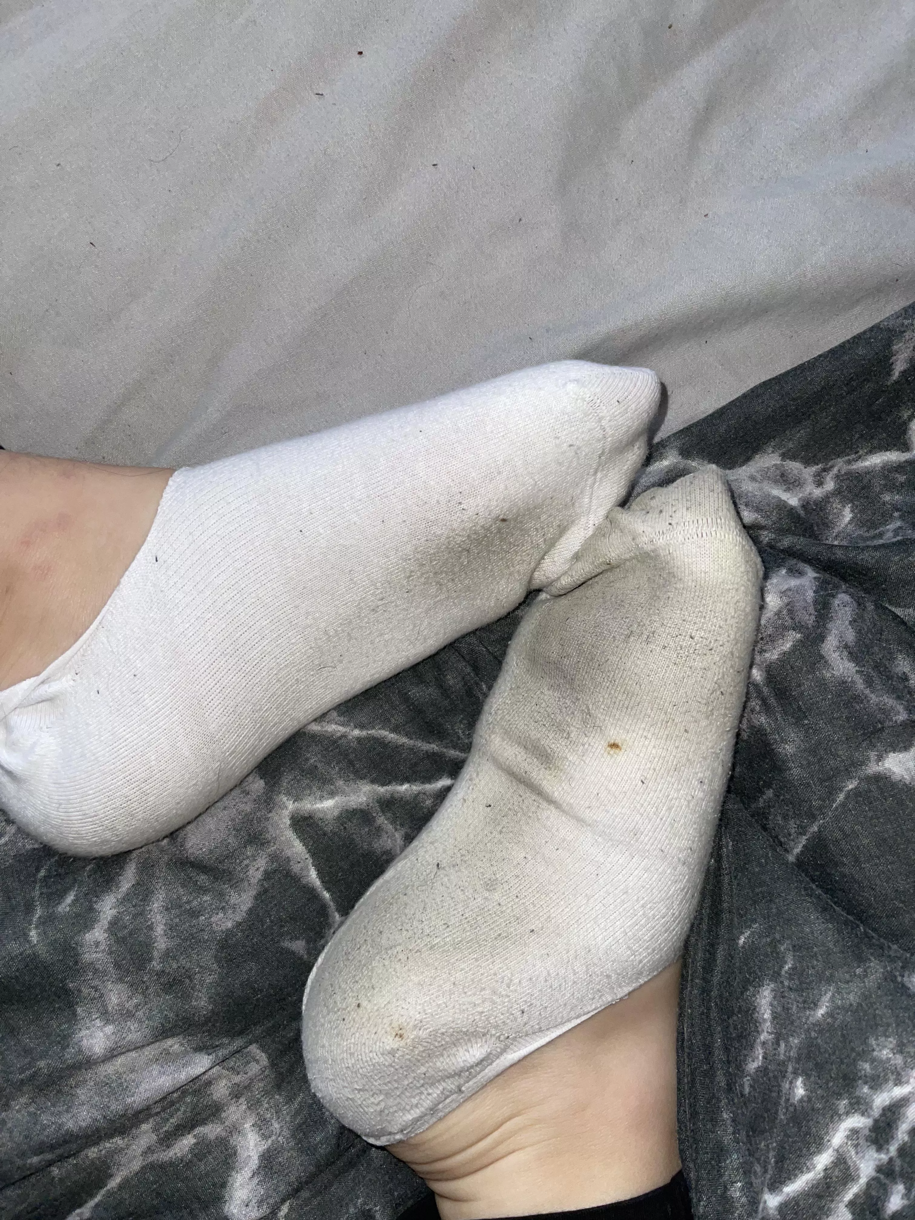 filthy old socks