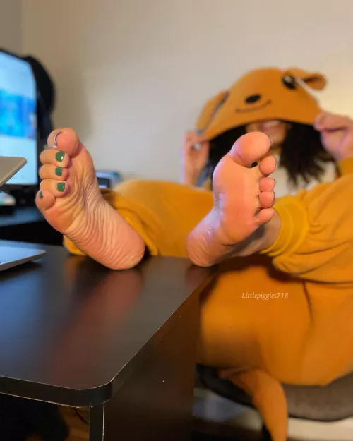 Hippity Hoppity these feet belong on your property