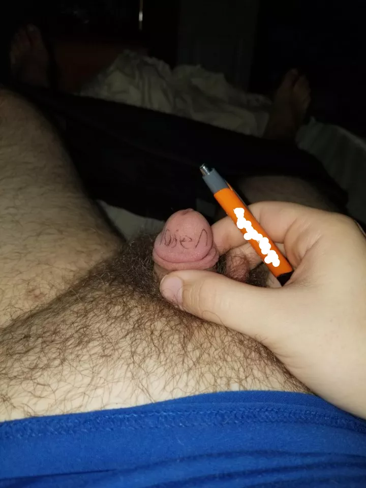 I lost a comparison bet 😓