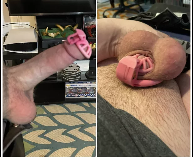 I love shoving my dick into super tiny cages